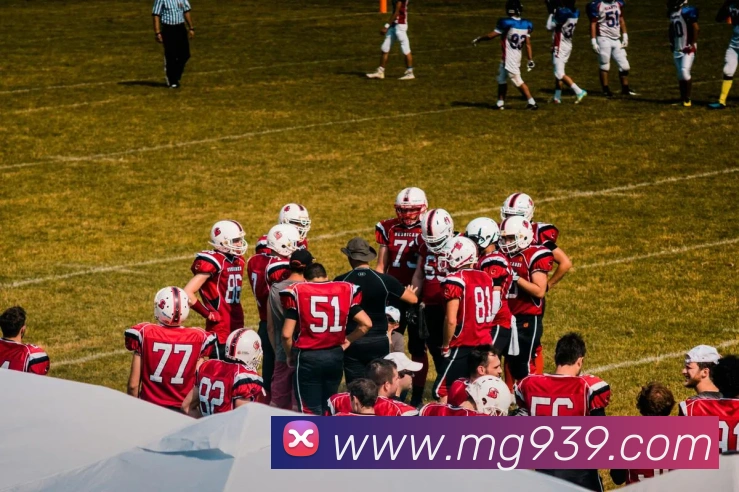 MG娱乐平台官网APP 封面图